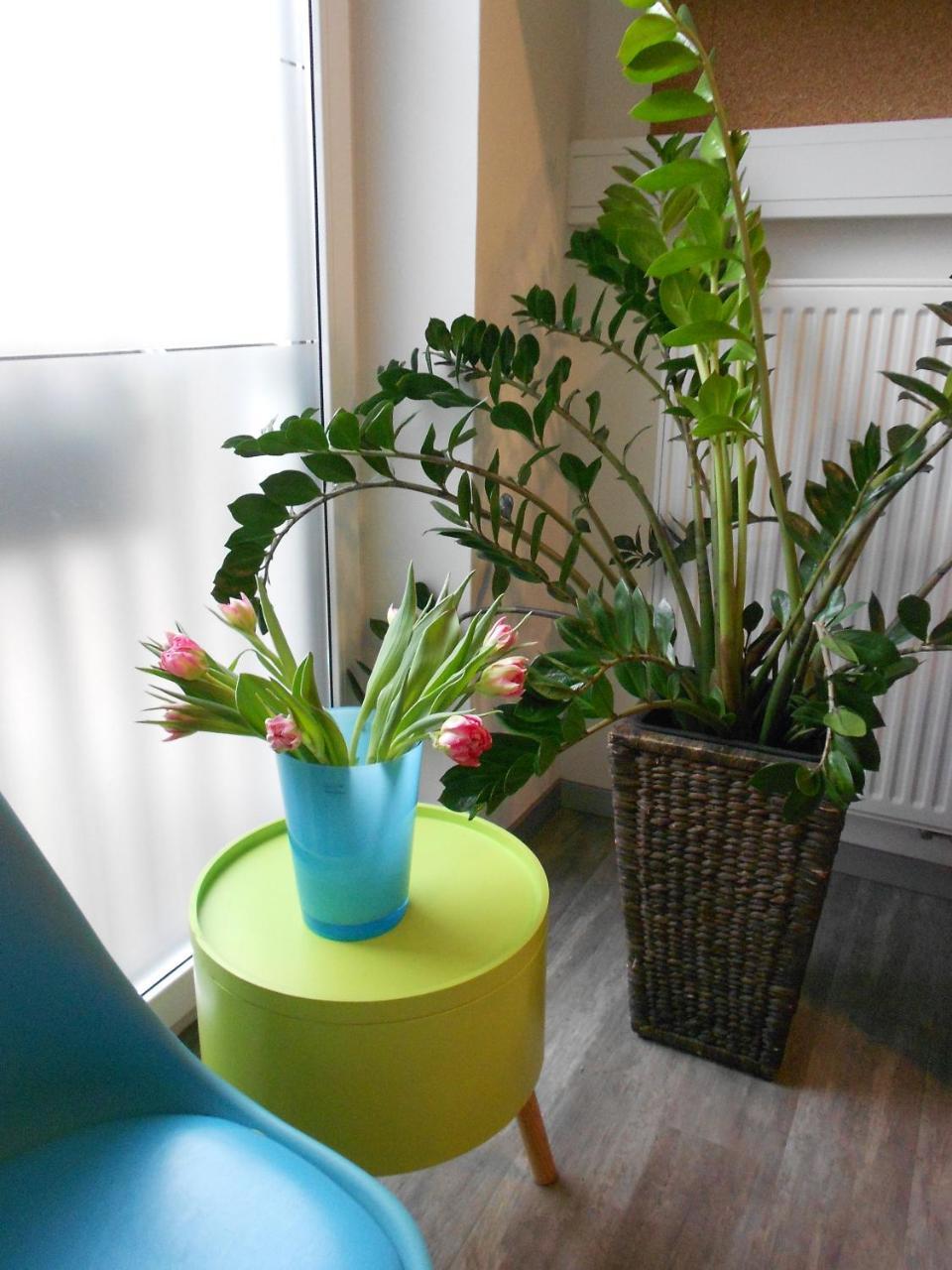 Hotel M24 - Alle Zimmer Mit Kuechenzeile เวคตา ภายนอก รูปภาพ